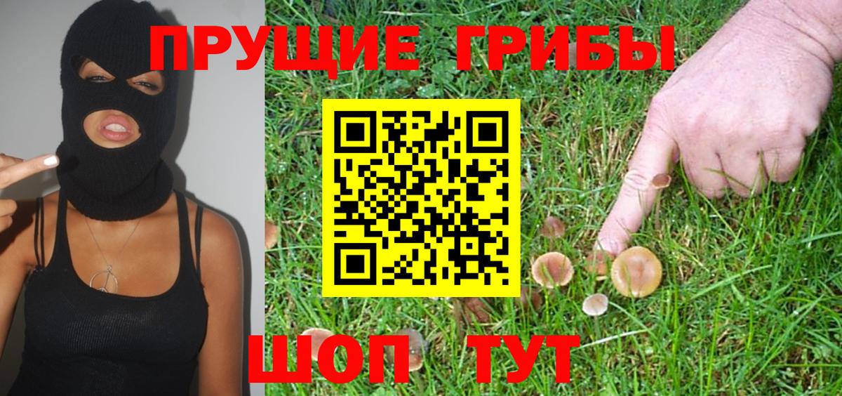 Псилоцибиновые грибы Psilocybe Полевской