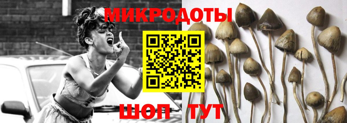 Полевской  Псилоцибиновые грибы MAGIC MUSHROOMS  Вход с VPN 